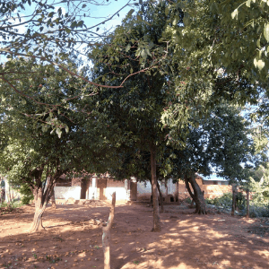 terreno en oferta paraguay, terreno en ñemby patio baldio